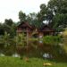a house next to a pond